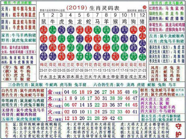 澳门正版资料大全生肖卡，数据解析_稀有HMO147.98综合版