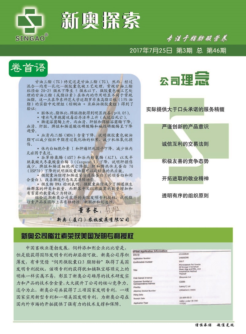 2024新澳权威资料集，决策参考指南_独刊BWX295.56