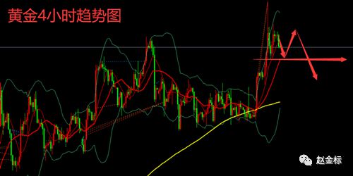 新澳门彩出码综合走势图表大全,精细解析解答解释问题_场地集25.317