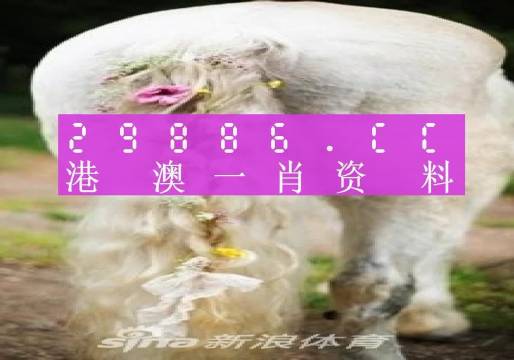 澳门平特一肖100%免费,实际解答解释落实_研究版55.206