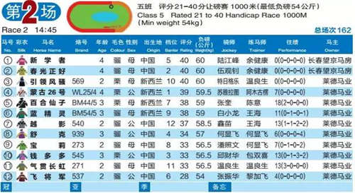 2024澳门特马今晚开奖138期,它不仅仅是一场普通的赛马比赛