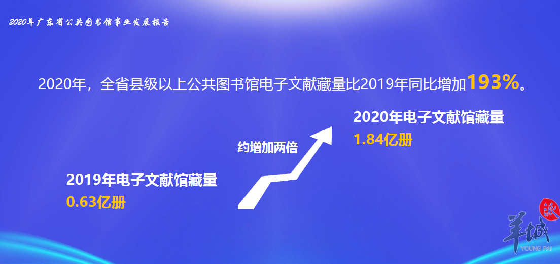 新澳资料正版免费资料,公共图书馆和学术数据库是获取免费正版资料的重要途径